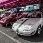 DSC 0010 7 2-