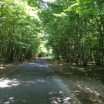 IMG 5045- Rallye des Routes de Sologne