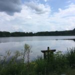IMG 5084- Rallye des Routes de Sologne