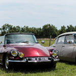 IMG 9684-
