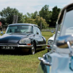 IMG 9690-