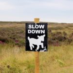 Road Yorkshire 7-