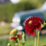 Classic Days au Schloss Dyck