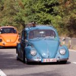 IMG 7546- Bug Show 2018