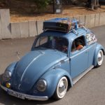 IMG 7587- Bug Show 2018