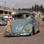 IMG 7588- Bug Show 2018