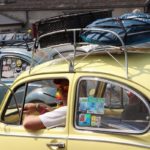 IMG 7605- Bug Show 2018