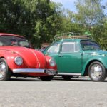 IMG 7793 1- Bug Show 2018
