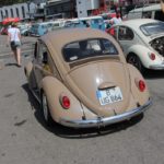 IMG 7799 1- Bug Show 2018