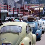 IMG 7815 1- Bug Show 2018