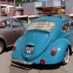 IMG 7828- Bug Show 2018