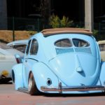 IMG 7846- Bug Show 2018