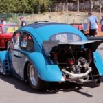 IMG 7867 1- Bug Show 2018