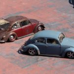 IMG 7885 1- Bug Show 2018