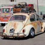 IMG 7890- Bug Show 2018