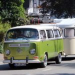 IMG 7915 1- Bug Show 2018