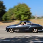 IMG 7926 1- Bug Show 2018