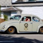 IMG 7958 1- Bug Show 2018