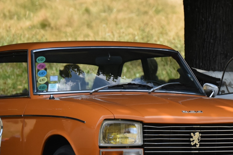 Vignettes sur Peugeot 304- Vignettes