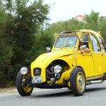 Citronnades 2018 013- Citronnades 2018