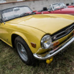 DSC 0066 3 2- Bourse de Colomiers 2018