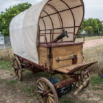 DSC 0084 3 2- Bourse de Colomiers 2018