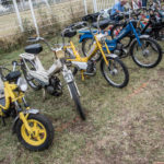 DSC 0085 3 2- Bourse de Colomiers 2018