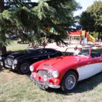 IMG 2507- Verna 2018