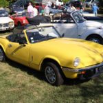 IMG 2526- Verna 2018