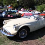 IMG 2530- Verna 2018