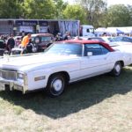 IMG 2657- Verna 2018