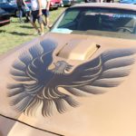IMG 2666- Verna 2018