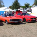 IMG 2670- Verna 2018