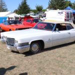 IMG 2671- Verna 2018