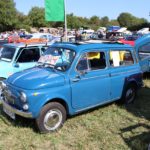 IMG 2700- Verna 2018