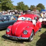 IMG 2735- Verna 2018