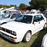 IMG 2779- Verna 2018
