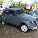 IMG 2839- Verna 2018