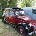 IMG 2843- Verna 2018