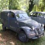 IMG 2852- Verna 2018