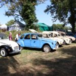 IMG 2862- Verna 2018
