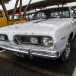 DSC 0351 2- Macadam Passion Club