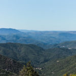 IMG 0536- Vintage Road Trip