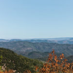 IMG 0540- Vintage Road Trip