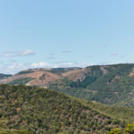 IMG 0609- Vintage Road Trip