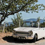 IMG 0641- Vintage Road Trip