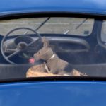 Les dérouillés fêtent les septuagénaires 2 CV et 203 Marc Newsdanciennes oct 2018 22-