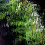 Christophe Noirot 1-