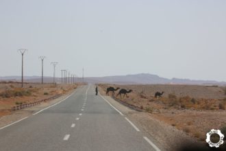 F BBA 2018 1826 les routes Marocaines-