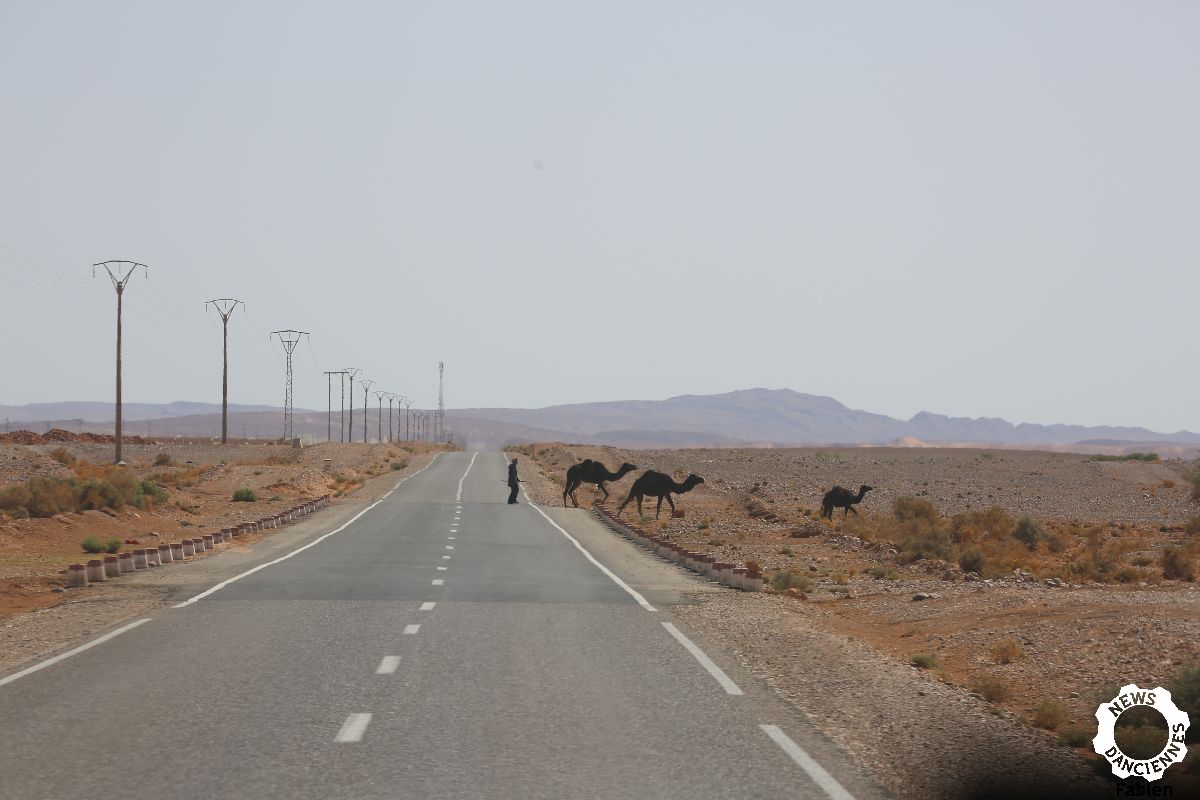 F_BBA 2018 – (1826) – les routes Marocaines